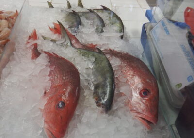 Fresh fish and red snapper