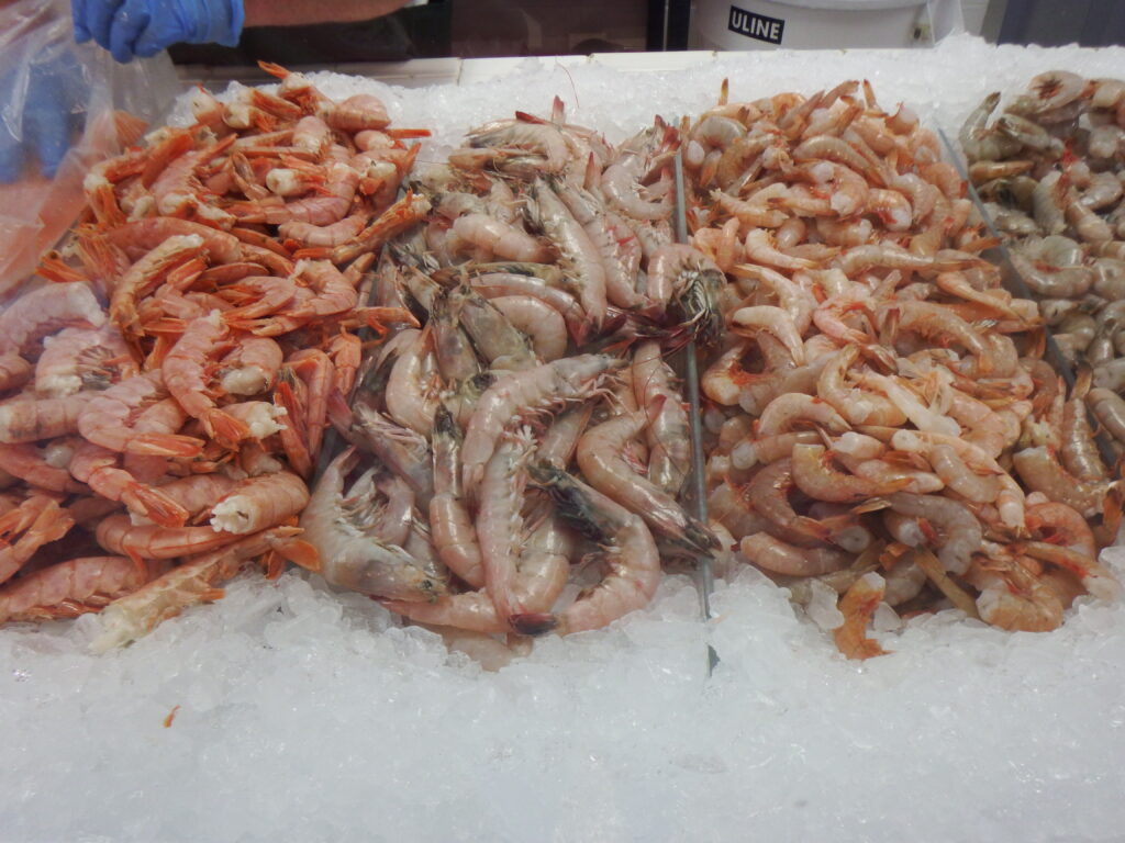 Fresh shrimp and gulf seafood
